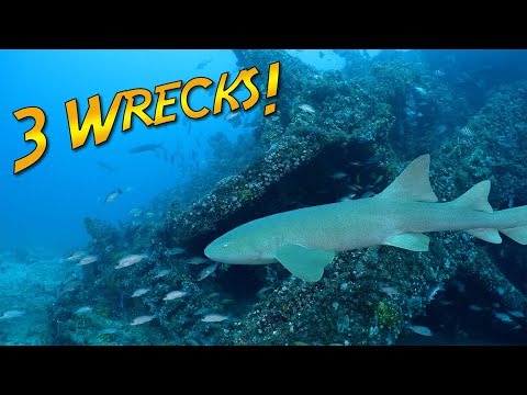 Three wrecks in one dive