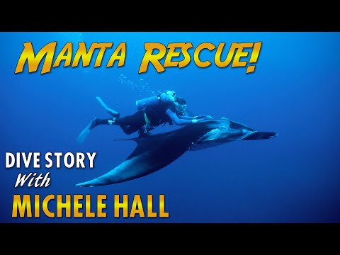 Manta rescue with Michelle Hall