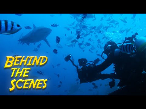 Secrets Of The Sea Behind The Scenes Vita Aquatica